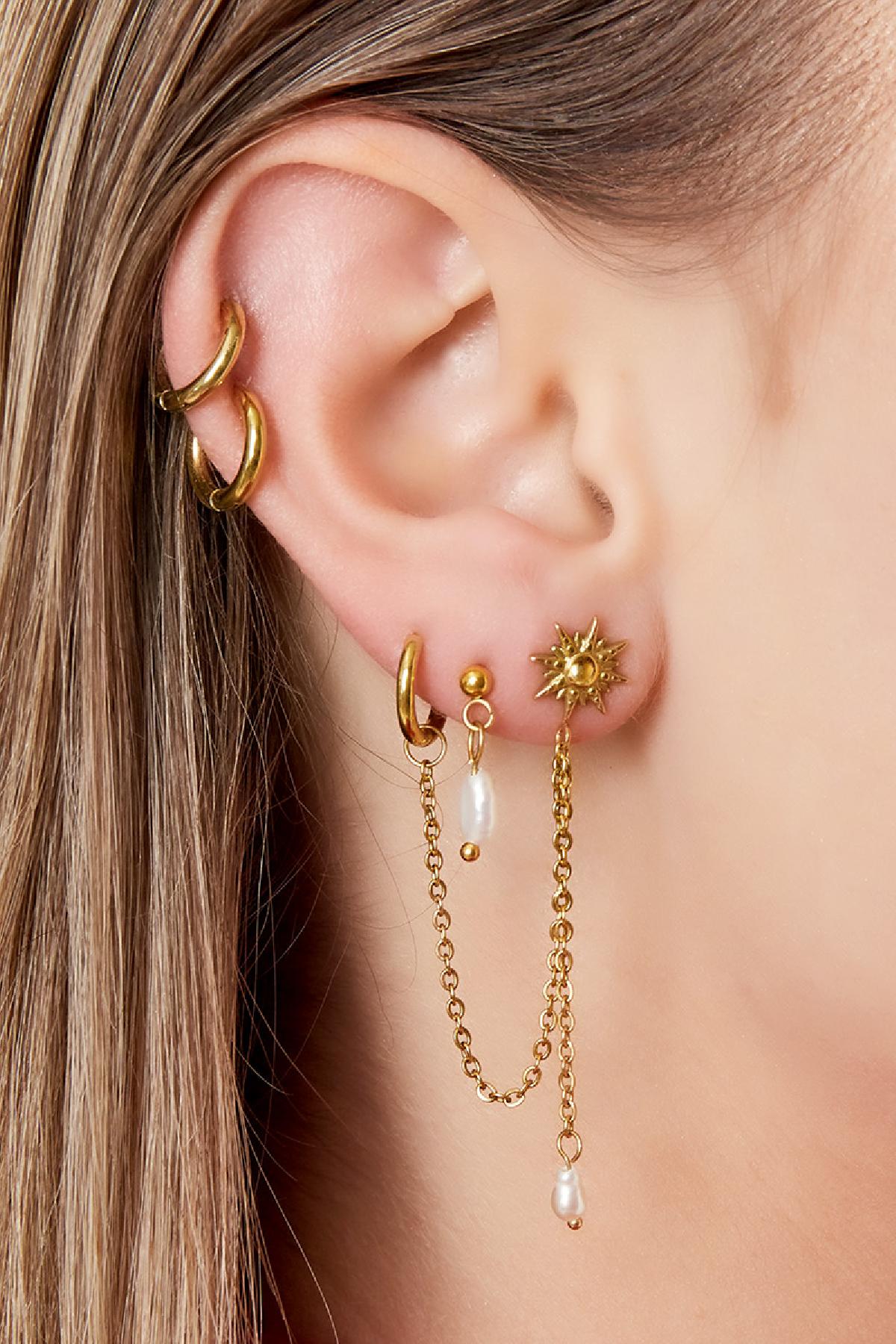 Stainless steel earrings